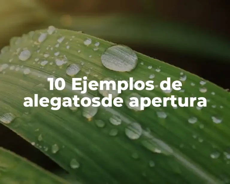 10 Ejemplos de alegatosde apertura