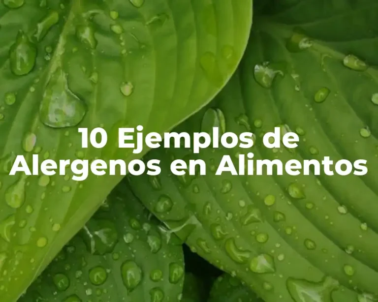 10 Ejemplos de Alergenos en Alimentos