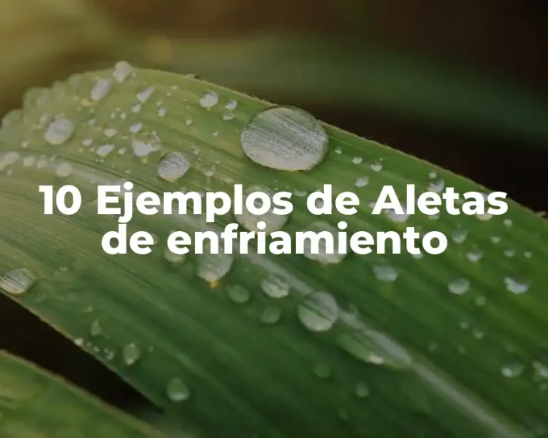 10 Ejemplos de Aletas de enfriamiento
