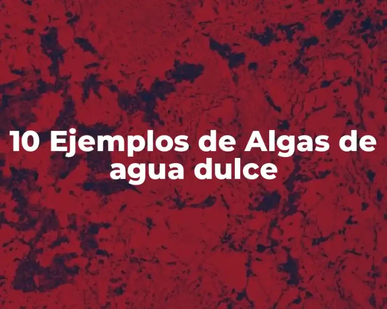 10 Ejemplos de Algas de agua dulce
