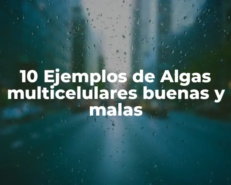 10 Ejemplos de Algas multicelulares buenas y malas