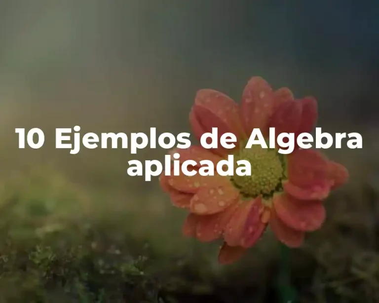 10 Ejemplos de Algebra aplicada