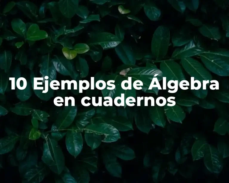 10 Ejemplos de Álgebra en cuadernos