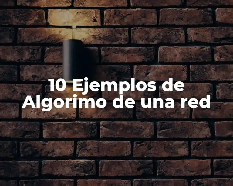 10 Ejemplos de Algorimo de una red