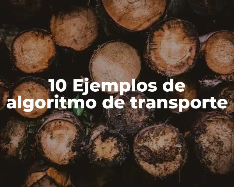 10 Ejemplos de algoritmo de transporte