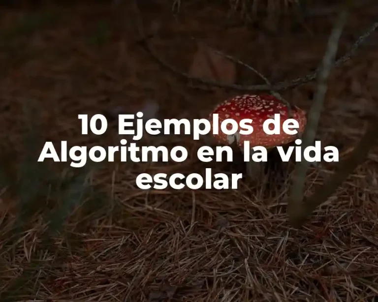 10 Ejemplos de Algoritmo en la vida escolar