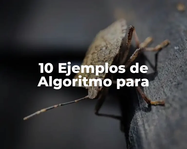 10 Ejemplos de Algoritmo para