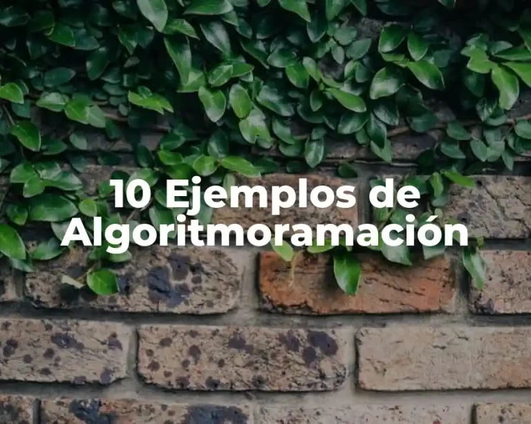 10 Ejemplos de Algoritmoramación