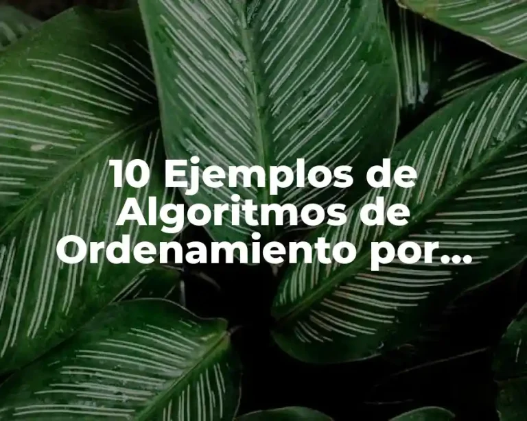 10 Ejemplos de Algoritmos de Ordenamiento por Inserción