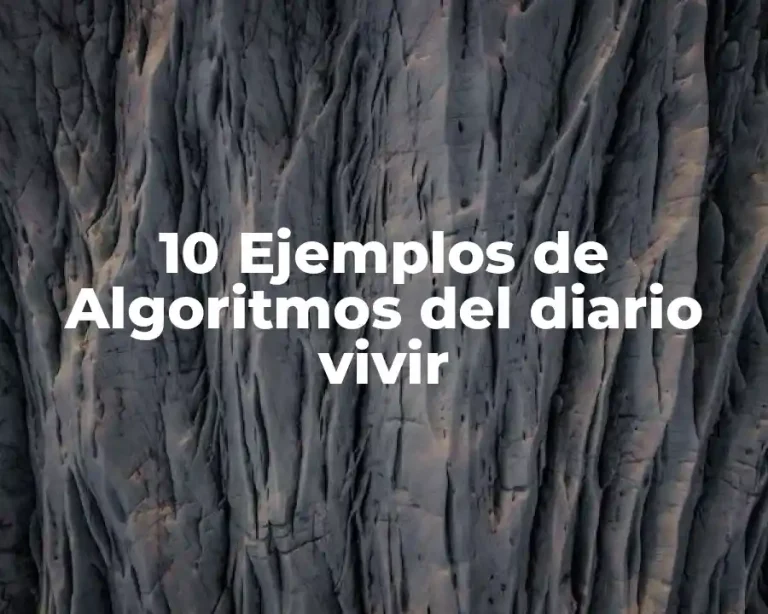 10 Ejemplos de Algoritmos del diario vivir