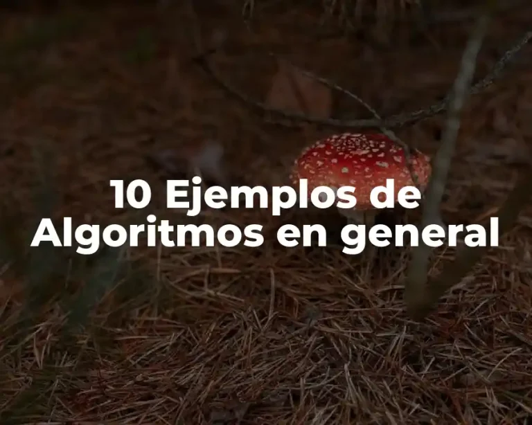 10 Ejemplos de Algoritmos en general