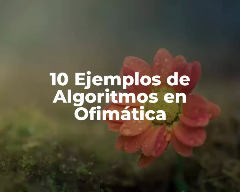 10 Ejemplos de Algoritmos en Ofimática