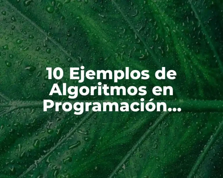 10 Ejemplos de Algoritmos en Programación Orientada a Objetos
