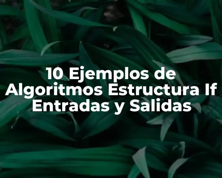 10 Ejemplos de Algoritmos Estructura If Entradas y Salidas