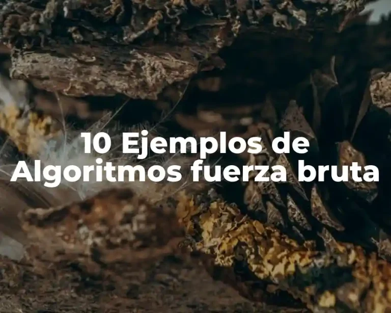 10 Ejemplos de Algoritmos fuerza bruta