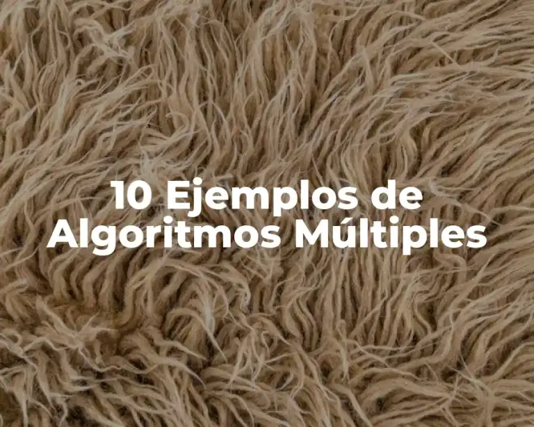 10 Ejemplos de Algoritmos Múltiples