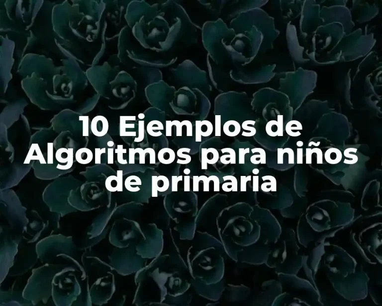 10 Ejemplos de Algoritmos para niños de primaria
