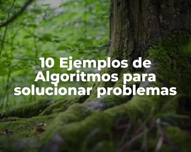 10 Ejemplos de Algoritmos para solucionar problemas