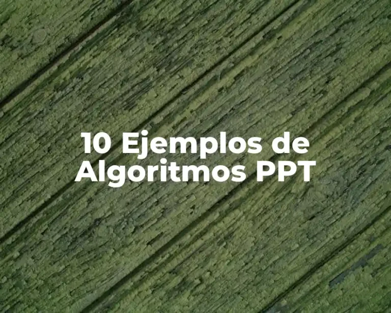 10 Ejemplos de Algoritmos PPT