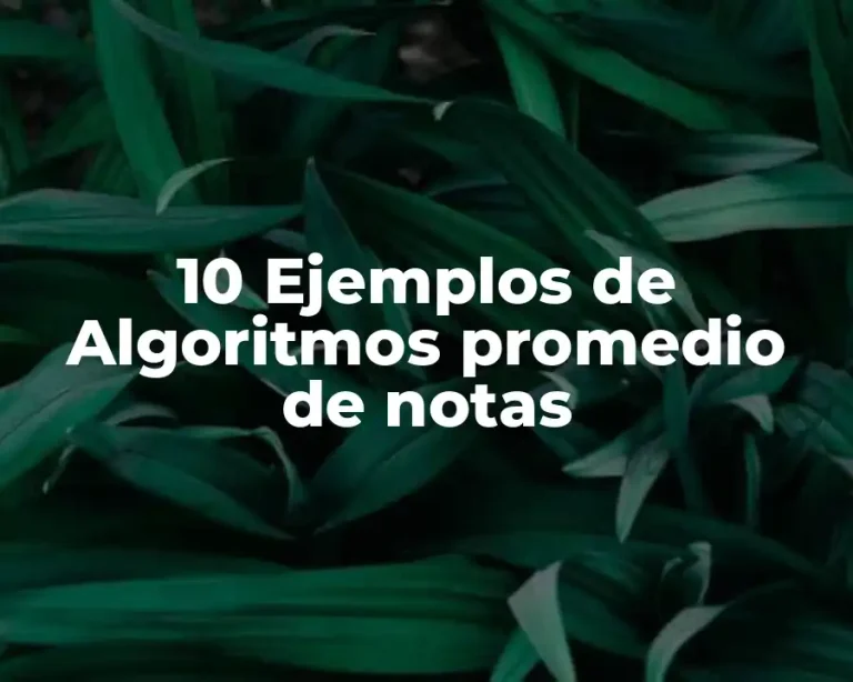 10 Ejemplos de Algoritmos promedio de notas