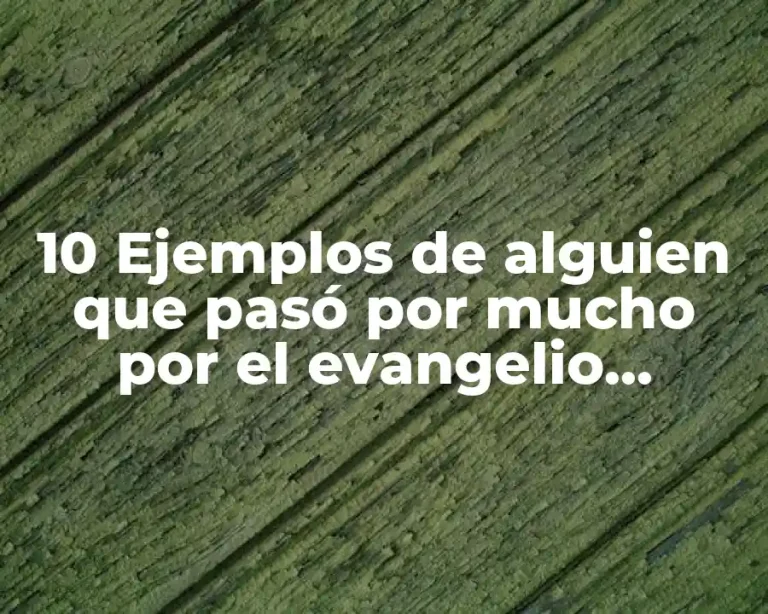 10 Ejemplos de alguien que pasó por mucho por el evangelio, Definición, Diferencias y para que sirve