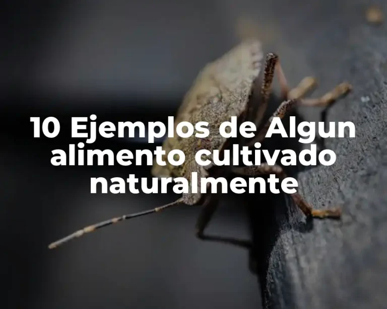 10 Ejemplos de Algun alimento cultivado naturalmente