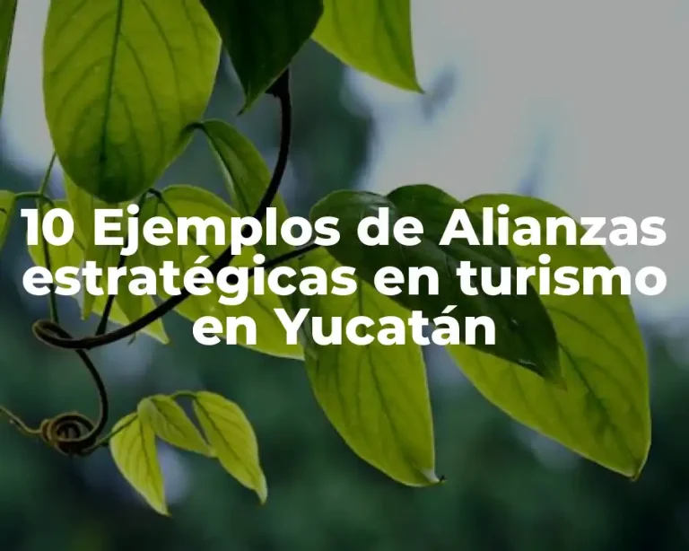 10 Ejemplos de Alianzas estratégicas en turismo en Yucatán