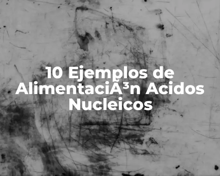 10 Ejemplos de AlimentaciÃ³n Acidos Nucleicos