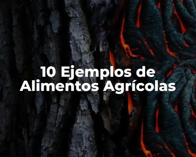 10 Ejemplos de Alimentos Agrícolas