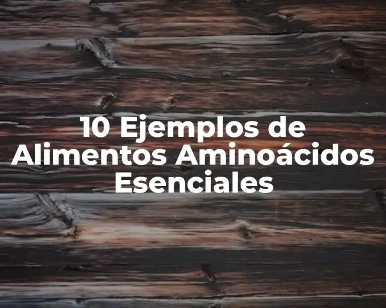 10 Ejemplos de Alimentos Aminoácidos Esenciales