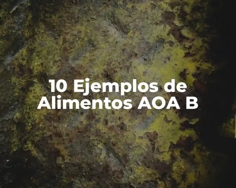10 Ejemplos de Alimentos AOA B