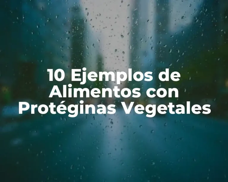 10 Ejemplos de Alimentos con Protéginas Vegetales