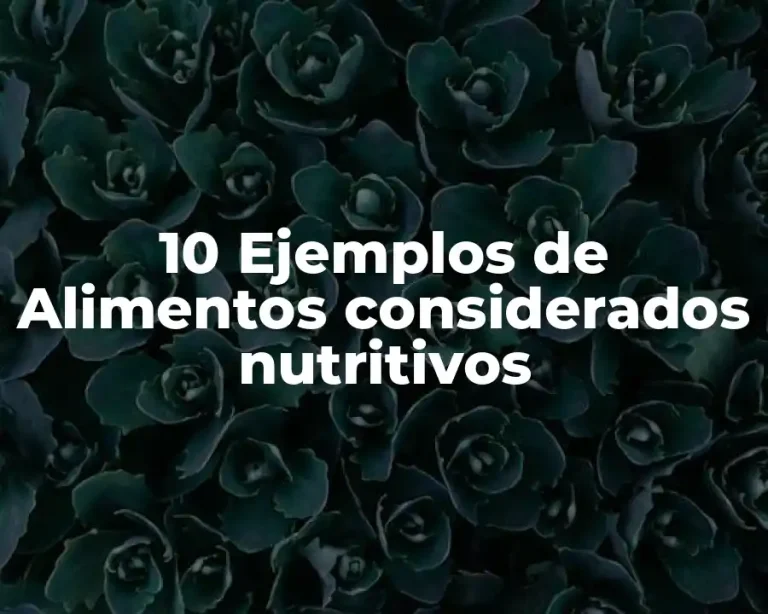 10 Ejemplos de Alimentos considerados nutritivos