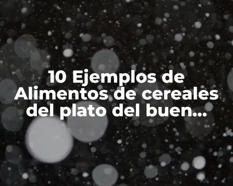 10 Ejemplos de Alimentos de cereales del plato del buen comer