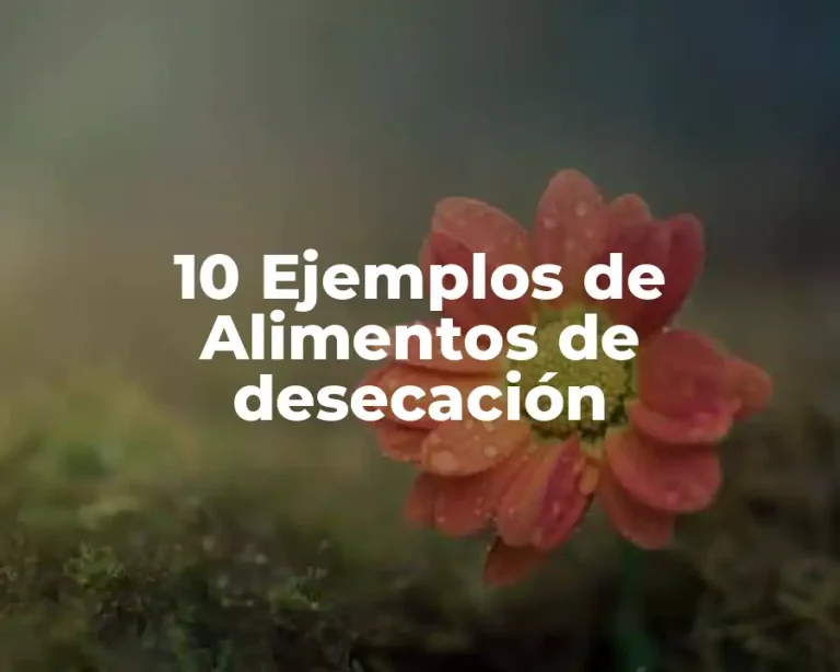 10 Ejemplos de Alimentos de desecación