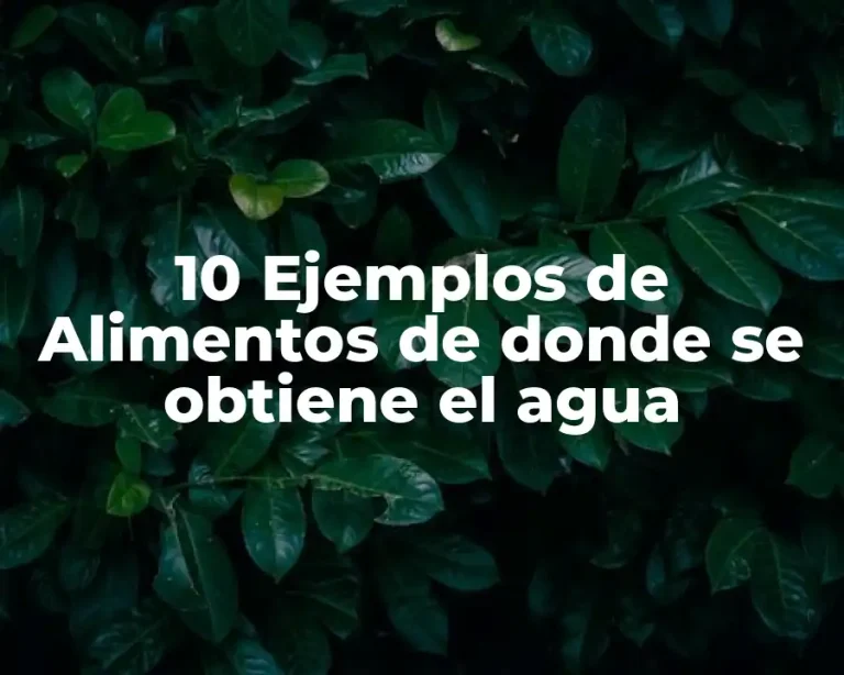 10 Ejemplos de Alimentos de donde se obtiene el agua