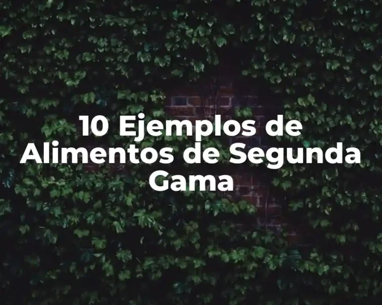 10 Ejemplos de Alimentos de Segunda Gama