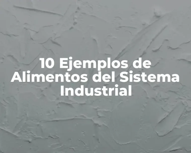 10 Ejemplos de Alimentos del Sistema Industrial