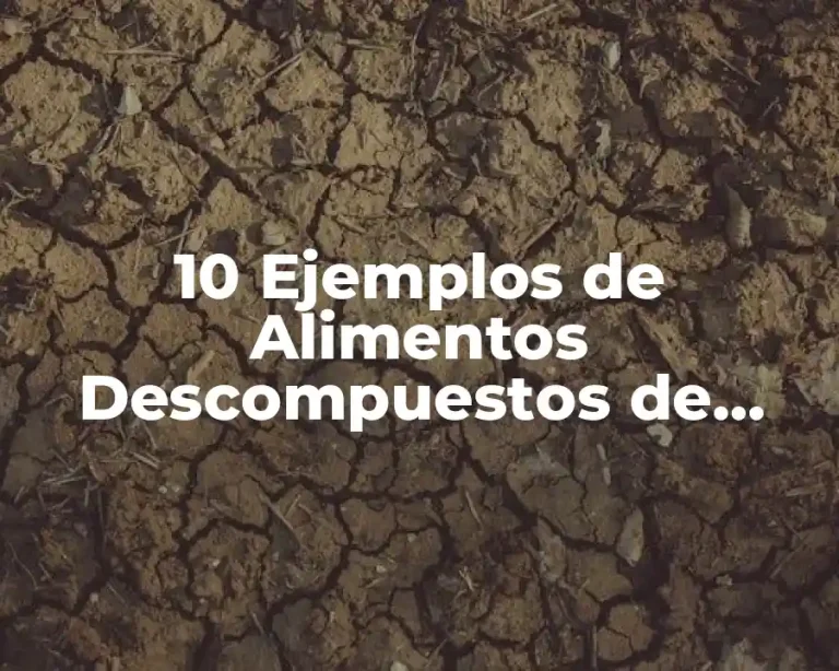 10 Ejemplos de Alimentos Descompuestos de Leche y Manzana