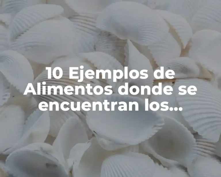 10 Ejemplos de Alimentos donde se encuentran los minerales
