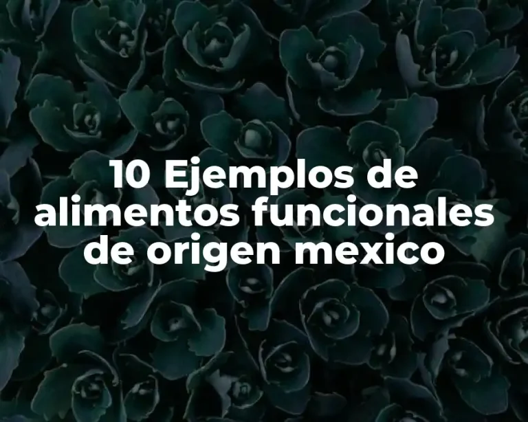 10 Ejemplos de alimentos funcionales de origen mexico