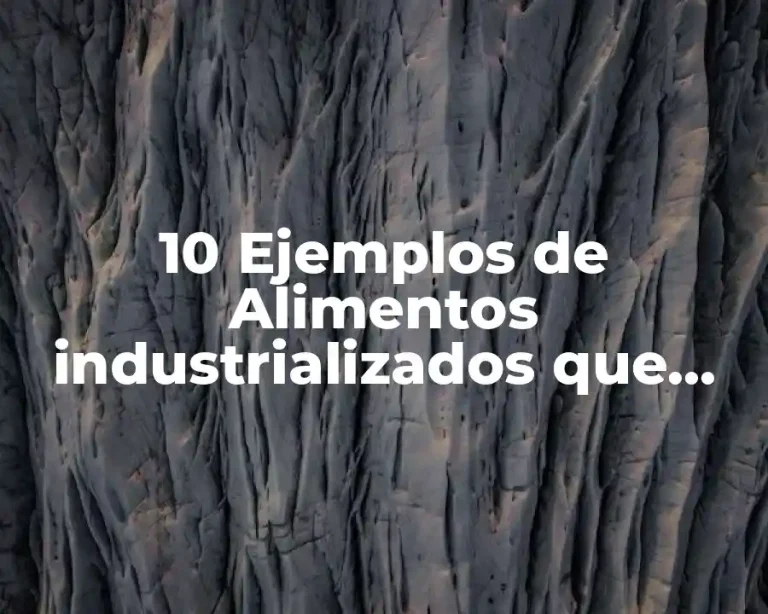 10 Ejemplos de Alimentos industrializados que contengan productos transgénicos