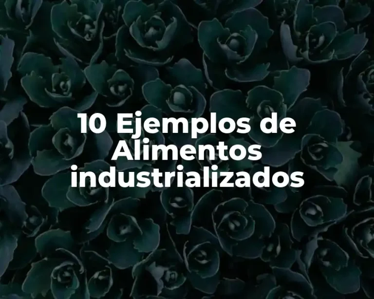 10 Ejemplos de Alimentos industrializados