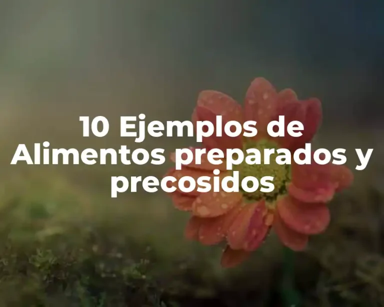 10 Ejemplos de Alimentos preparados y precosidos