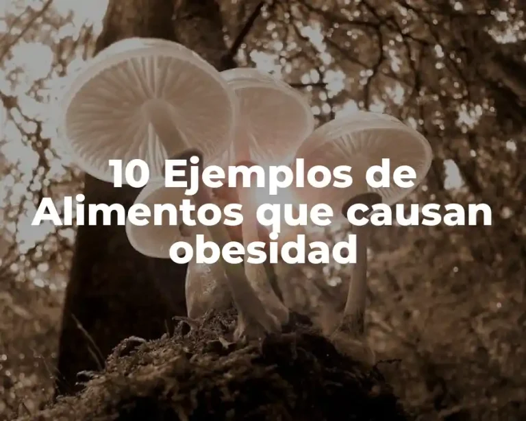 10 Ejemplos de Alimentos que causan obesidad