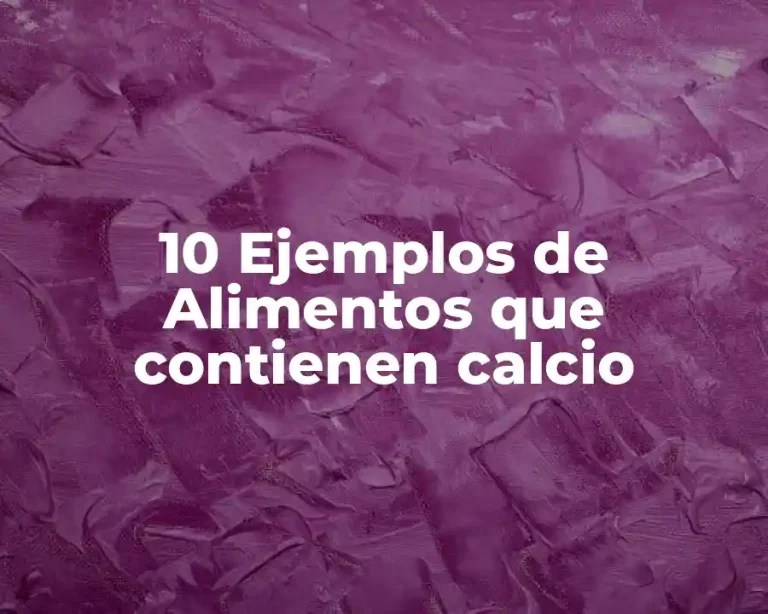 10 Ejemplos de Alimentos que contienen calcio