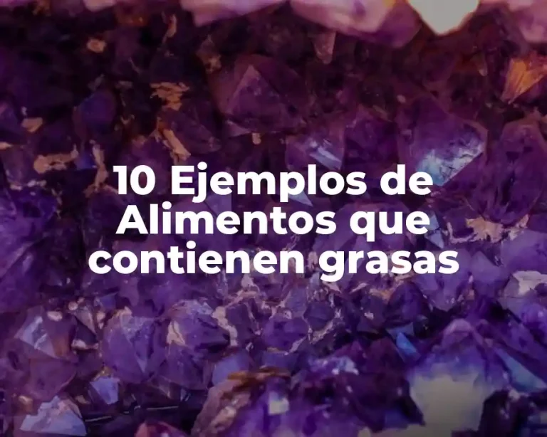 10 Ejemplos de Alimentos que contienen grasas