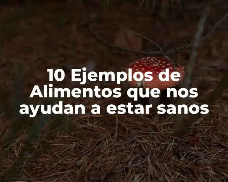 10 Ejemplos de Alimentos que nos ayudan a estar sanos