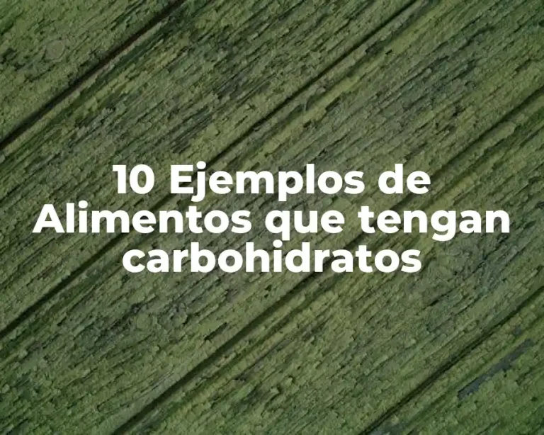 10 Ejemplos de Alimentos que tengan carbohidratos