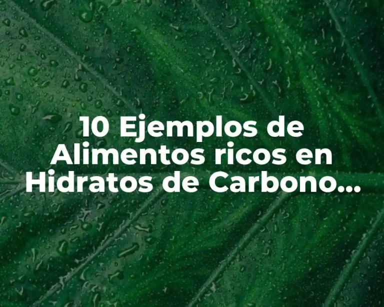10 Ejemplos de Alimentos ricos en Hidratos de Carbono (HCO) Simples y Complejos